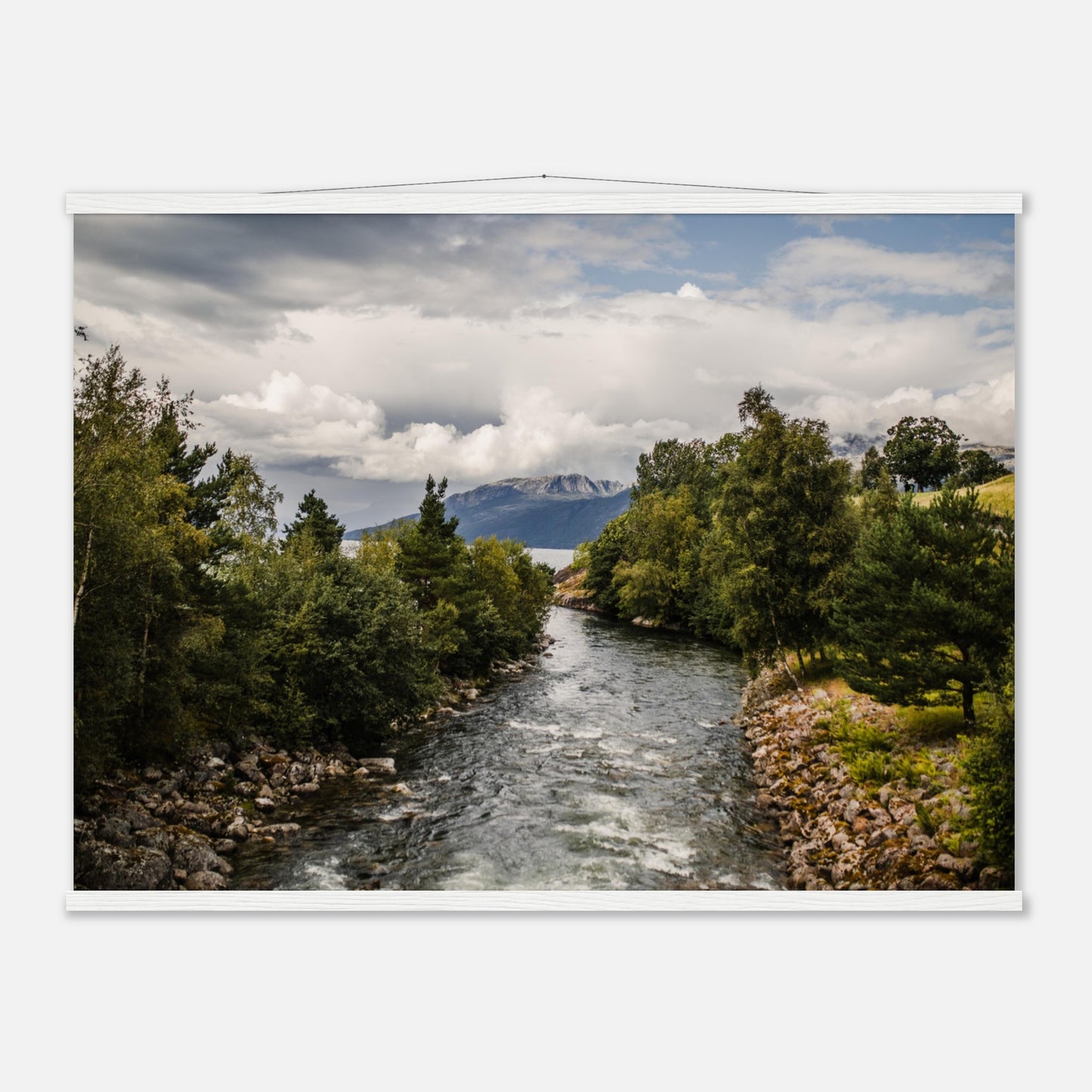 b5858584-fee4-4fce-a0d6-2b4018d3a568